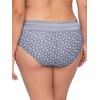 image:imageWarners womens No Pinching No Problems Digfree Comfort Waist With Lace Microfiber Hipster 5609jSilver Shadow Ditsy